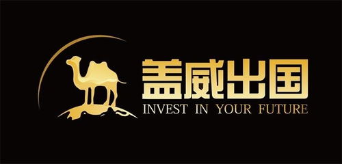 上海蓋威投資咨詢 專業投資顧問服務助力財富增長